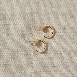 Ana Luisa Cassie Hoop Earrings